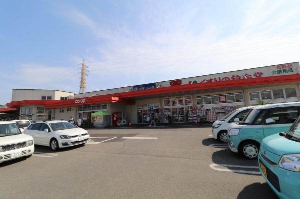 宮崎市薫る坂2丁目の中古一戸建て(くすりの救命堂かおる坂店)