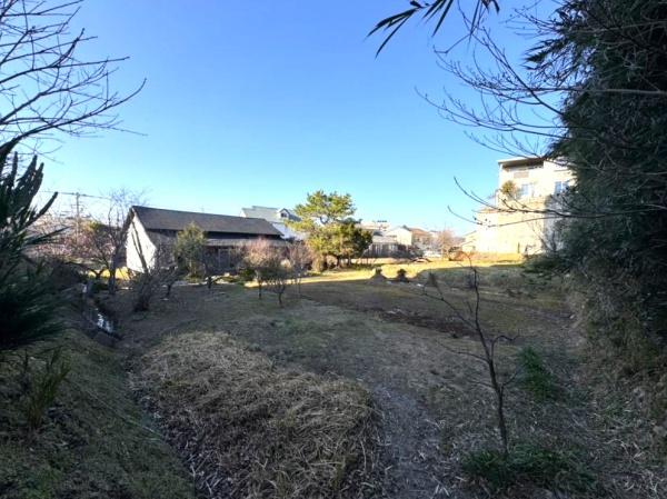 宮崎市大坪町寺山大迫の土地