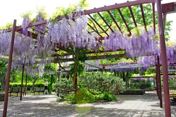 札幌市北区太平四条４丁目の土地(百合が原公園)