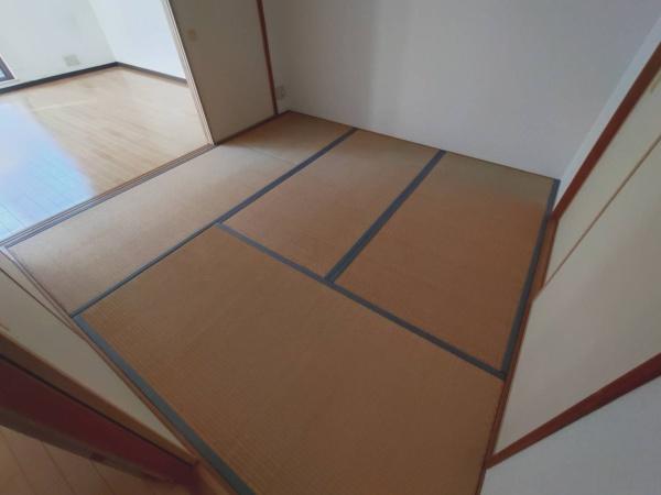 シップス本山