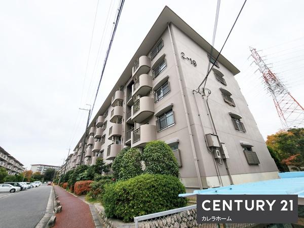 泉北鴨谷台第一次住宅19号棟