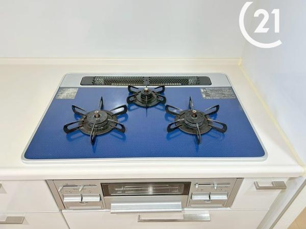 リバーガーデンＥＣＯシティアリスの森