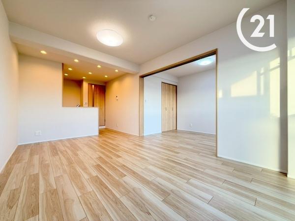 ドムール南恩加島