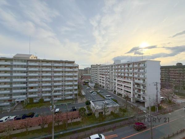 プラザ歌島Ａ棟