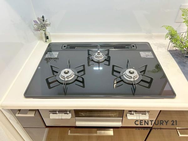 リバーガーデンＥＣＯシティアリスの森