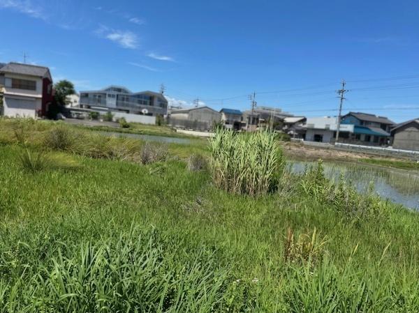羽島郡笠松町田代の売土地