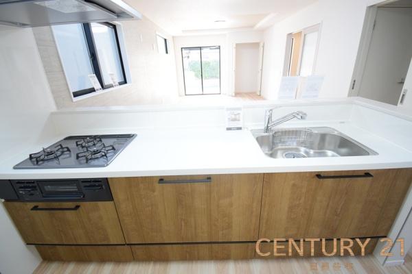 中川区中須町の新築戸建て