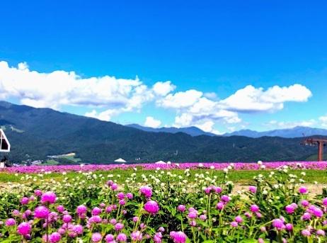 郡上市高鷲町ひるがのの土地(ひるがの高原スキー場)