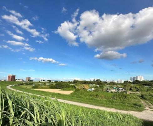 名古屋市中村区諏訪町１丁目の中古一戸建て(庄内川西枇杷島緑地(リバーランド))