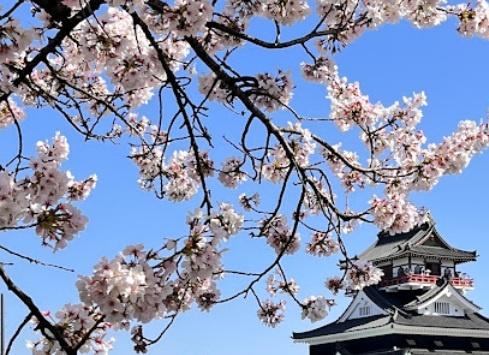 清須市西市場１丁目の中古一戸建て(清洲公園)