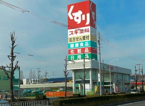 エントピア(スギ薬局打中店)