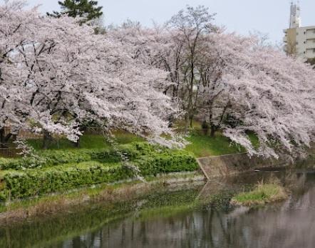 守山区翠松園の新築戸建て２号棟(城土公園)
