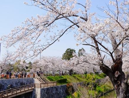名古屋市瑞穂区東栄町８丁目の中古一戸建て(弥富公園)