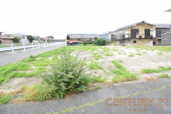 中川区春田の売土地 1号地