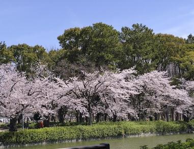 名古屋市西区城西５丁目の土地(名城公園)