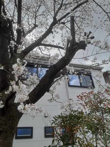 門真市上野口町の新築一戸建