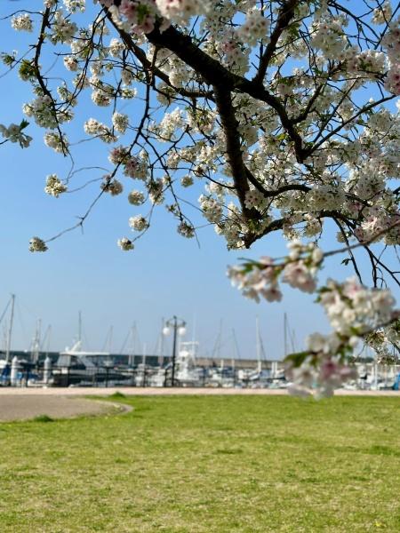 西宮マリナパークシティ海のまち４番館(ヨットハーバー)