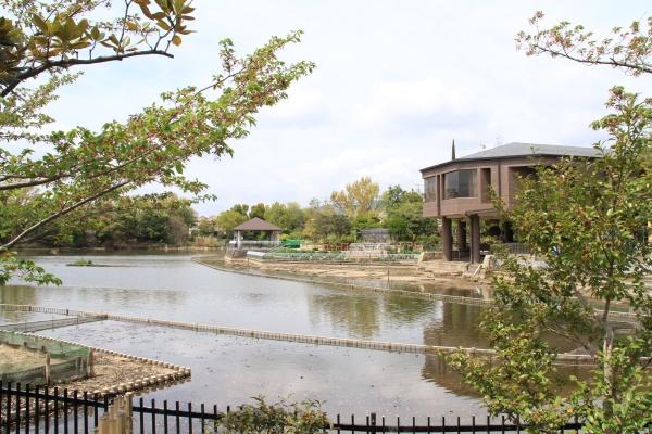枚方市楠葉野田３丁目の中古一戸建て(枚方市市民の森)