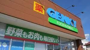 ダイアパレス岡崎南公園西棟(ゲンキー若松店)