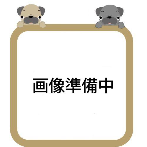 安城市根崎町第31号棟