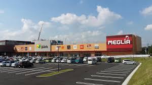 豊田市西岡町切畑の土地(メグリアミニ星ケ丘店)