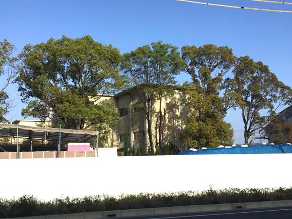 岡崎市若松町大廻1号棟(岡崎市立岡崎小学校)