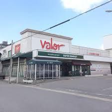 岡崎市若松町第四4号棟(バロー岡崎店)