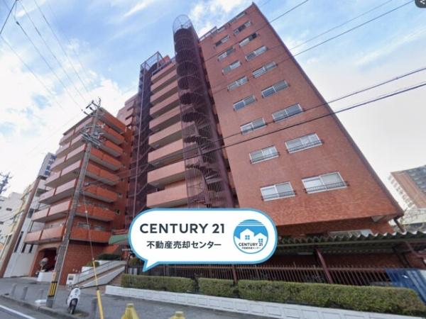 シャンボール康生