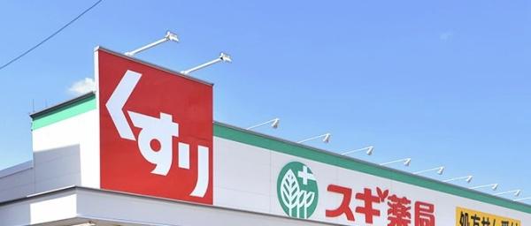西尾市宮町01期2号棟(スギ薬局西尾道光寺店)