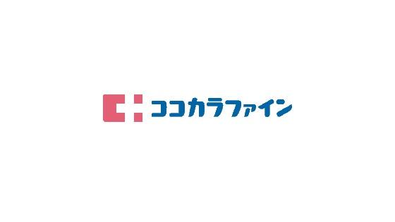 大阪市旭区高殿4丁目の中古一戸建て(ココカラファイン関目高殿店)
