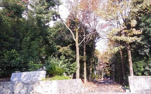 向島ニュータウン第三街区B棟 駅近11階の上階(向島中央公園)
