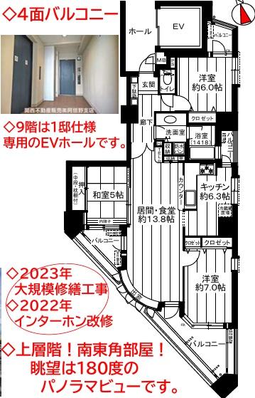 パルメーラ北畠イマジン