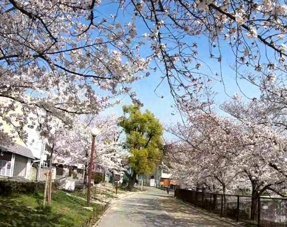 大阪市住吉区万代４丁目の土地(万代池公園)