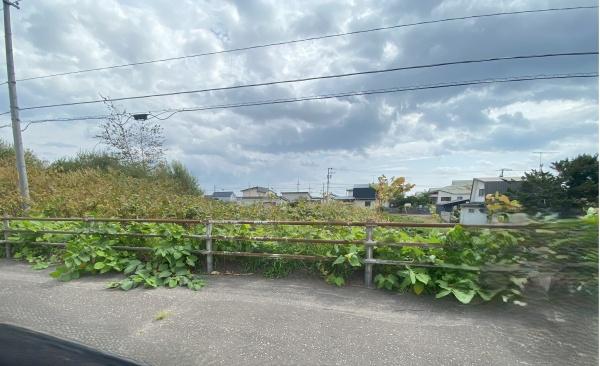 白老郡白老町字萩野の土地(現地土地写真)