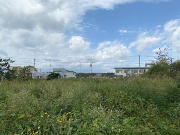白老萩野国道沿いの383坪