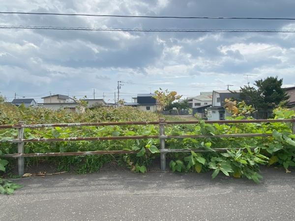 白老萩野国道沿いの383坪