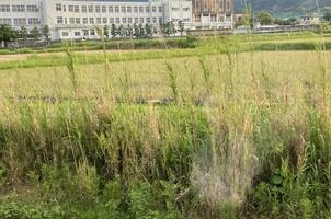 葛城市八川の中古一戸建て(葛城市立白鳳中学校)