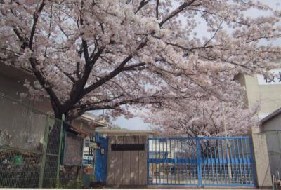 桜井市大字粟殿の中古一戸建て(第2保育所)