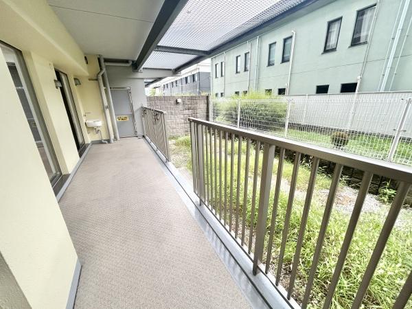 ウィルコート八木