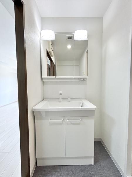 ネオシティ大和高田A棟(洗面台・洗面所)