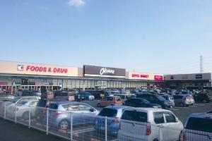 大和高田市大字市場の土地(オークワ大和高田店)