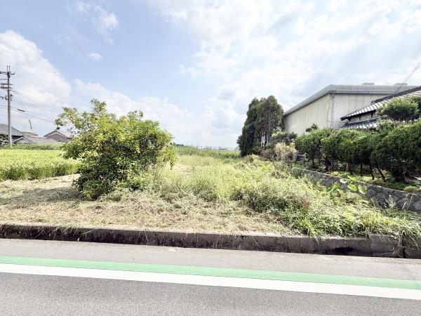 葛城市當麻の土地