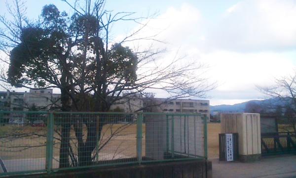 橿原グリーンハイツ(橿原市立八木中学校)