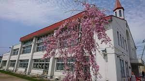旭川市大町二条16丁目の土地(さくらおか幼稚園)