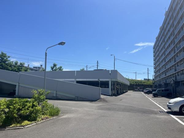 チュリス曙