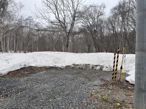 倶知安町字樺山土地