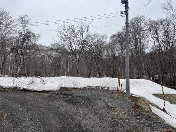 倶知安町字樺山土地