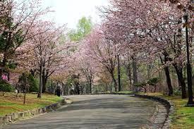 旭川市神楽四条１２丁目の中古一戸建て(神楽岡公園)