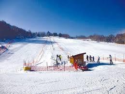 旭川市神居二条１８丁目の中古一戸建て(伊ノ沢市民スキー場)