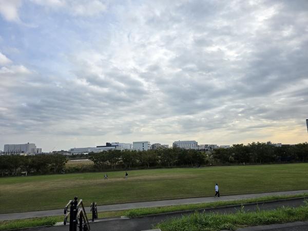 グランイーグル南六郷サウスコート(多摩川土手)